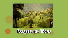 darjeeling tour