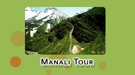 Manali tour